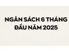 ngân sách 6 tháng đầu năm