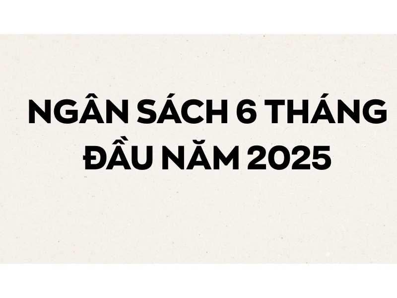 ngân sách 6 tháng đầu năm